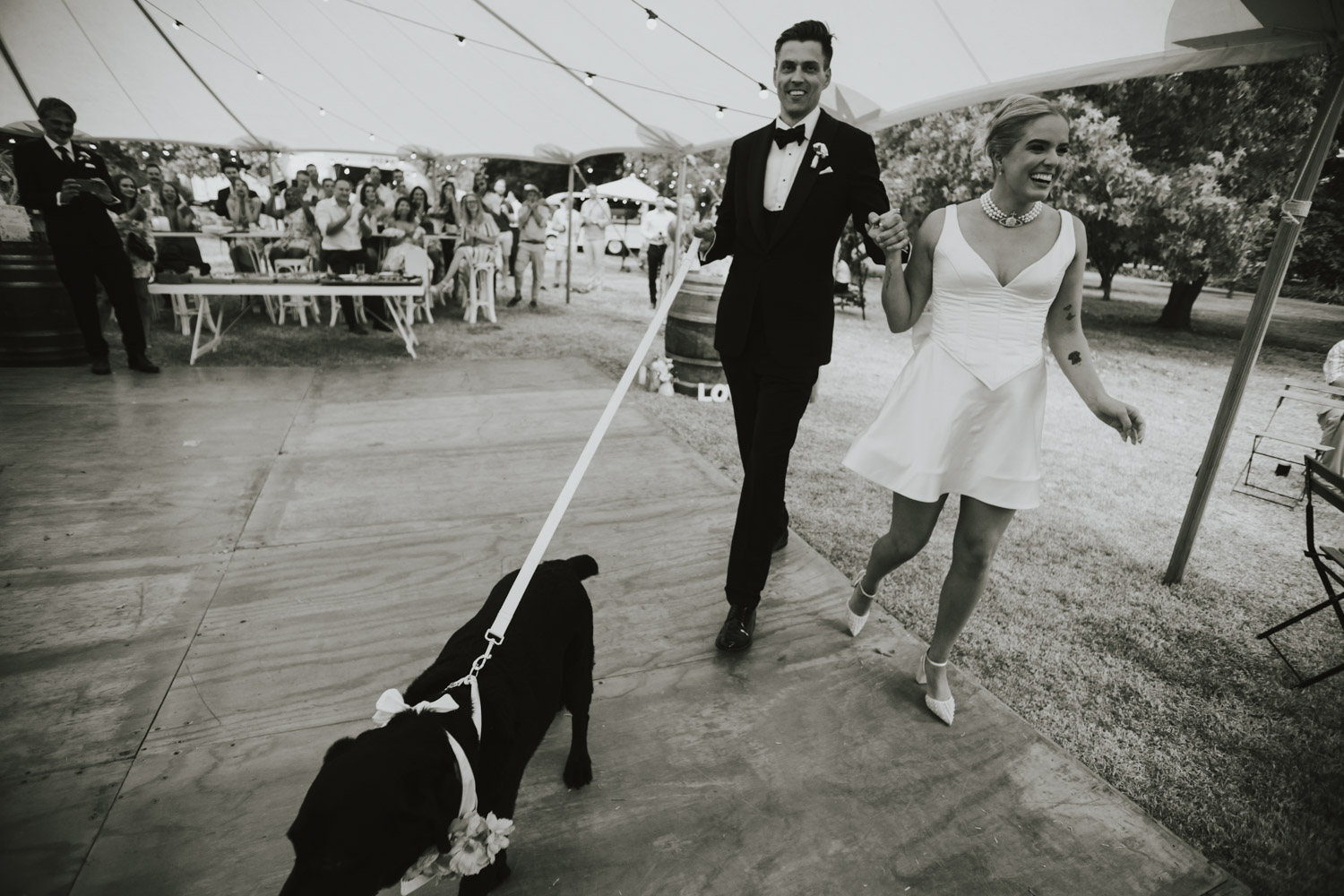 Newlyweds walking with their dogs after an outdoor reception