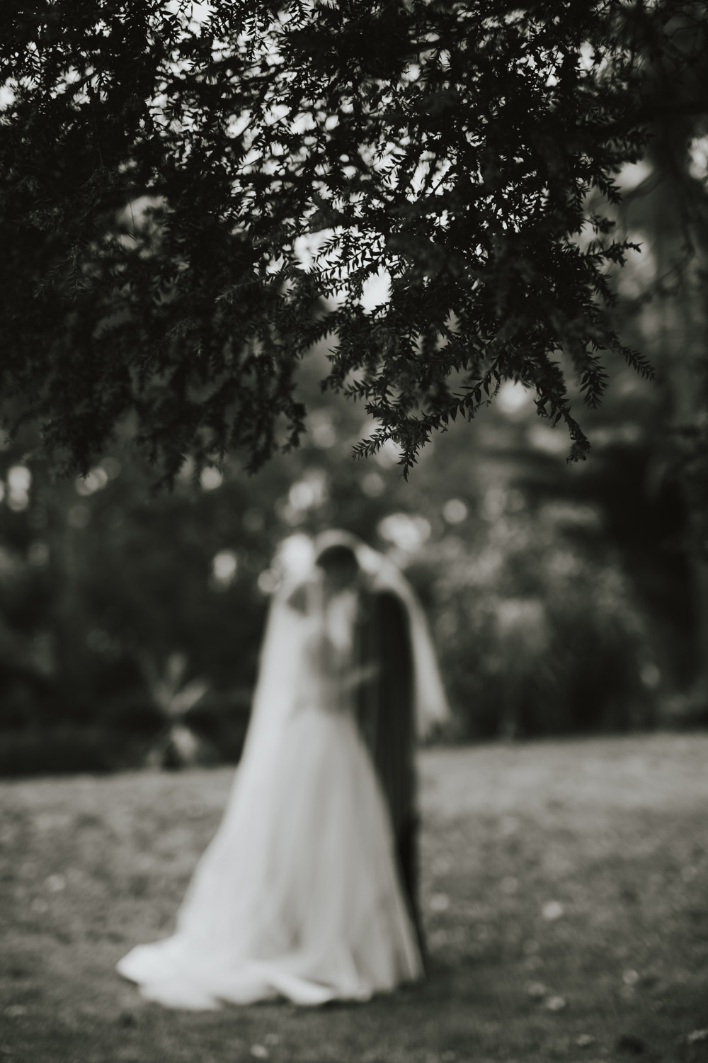 A deliberately soft-focus wedding portrait beneath trees